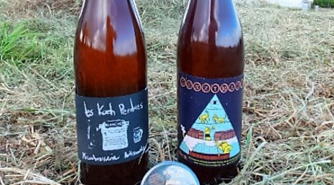 L’enzymatik, Blonde, 7%