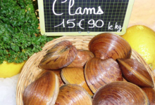 Clams