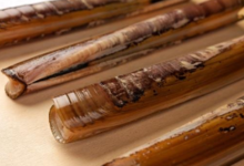 Les Viviers d'Armor, couteaux