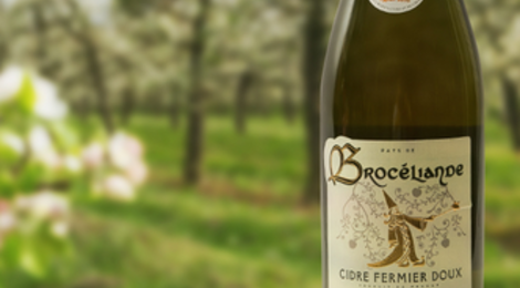 Cidre fermier du Pays de Brocéliande, doux