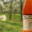 Cidre rosé de Brocéliande