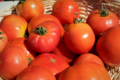 Ferme des Beaux Bois, Les tomates