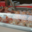 Sarl Charcuterie De Campagne