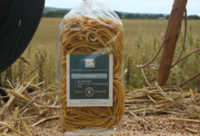Fettuccine au curcuma