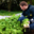 Le jardin du primeur, Nos navets (ramassés à la main)