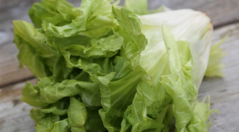 salade d'hiver "cormette"