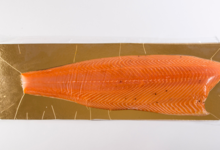 Les Saules, Filet de saumon