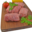 Ferme de la Nortière, Paupiettes de porc Bio