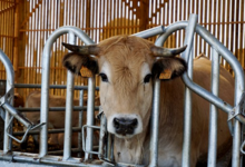 Ferme de la perrière