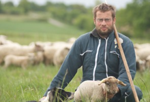 Agneau d'herbe et de bergerie
