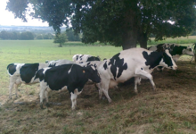 Ferme du Semnon