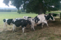 Ferme du Semnon