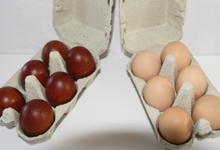 Ferme de Meul'n, oeufs bio