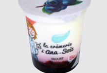 Ferme de Meul'n, Yaourt bio sur lit de myrtille