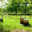 Miellerie des vallons de Vilaine, miel de foret