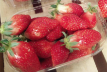 fraises bio