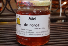 Miel de Ronce