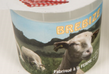 Les Paulinetoises, yaourts natures au lait de brebis