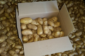 Pommes de terre monalisa