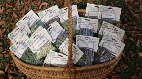 tisane de verveine et menthe