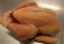 Ferme de Kerdroguen, poulet