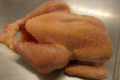 Ferme de Kerdroguen, poulet