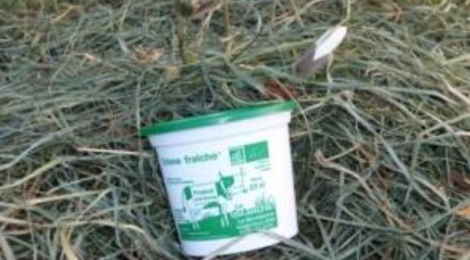 La crème qui rit, Crème fraiche en pot