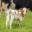 La ferme de Kergrac'h