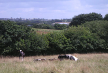 La ferme de Kergrac'h