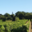 Vieux Château des Rochers - Jean-Claude Rocher 