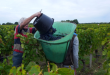 Vieux Château des Rochers - Jean-Claude Rocher 