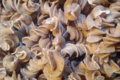 la fabrik des 1001 pâtes, Fusillis séchés au graines de pavot