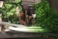 paniers de légumes frais