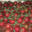 Le Potager De Kergistalen , tomates cerise