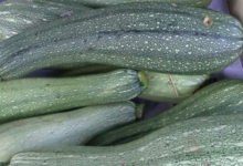 courgettes