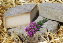 Tomme de chèvre au lait cru