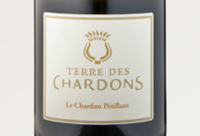Terre des chardons, Le Chardon pétillant