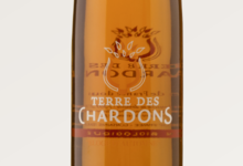 Terre des chardons, eloge d'automne