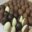 confiserie Gumuche,  oeufs en chocolat