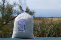Rivesaline, Gros sel de l'Ile de Ré