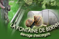 La Fontaine de Bernn, escargots