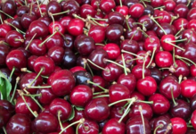 cerises