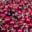 cerises