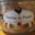 Ferme de Pleinefage, terrine de poulet
