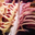 Ferme de Pleinefage, cuisse de canard