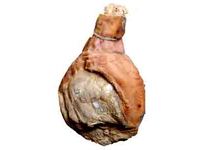 Charcuterie Fontalbat Mazars, Jambon sec avec os entier