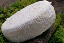 fromagerie du Pic, Lou Pennol