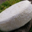 fromagerie du Pic, Lou Pennol
