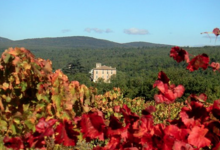 Château d'Ollières