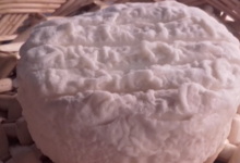 fromage de chèvre fermier des Alpilles Affiné